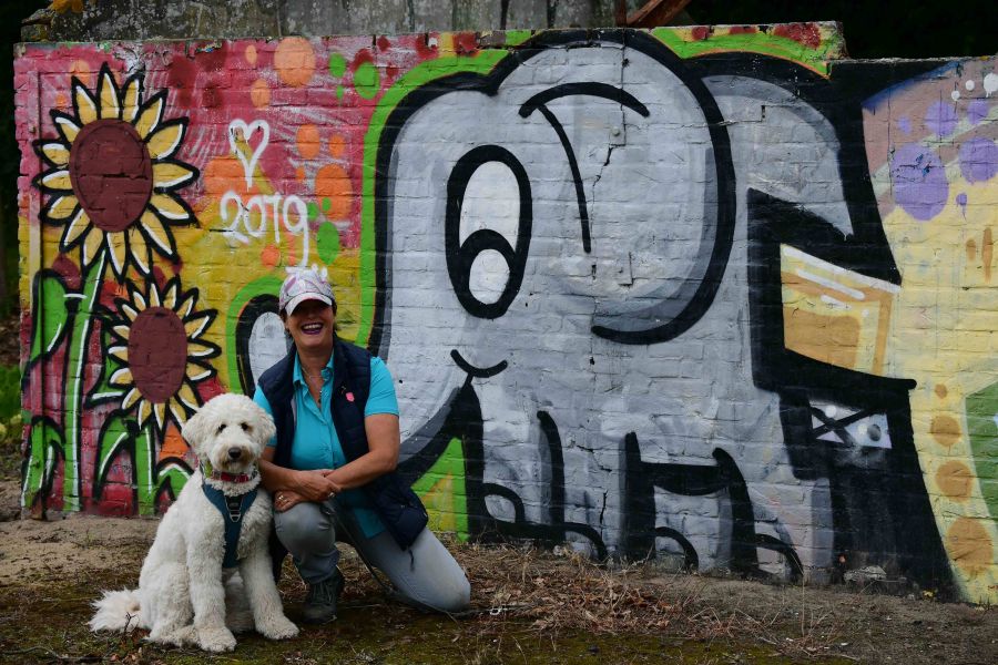 Gedragstherapie ,professionele hulp om met een gedragsprobleem van je hond om te leren gaan.leem en regio groot Amsterdam